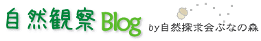 自然観察Blog