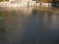 凍る池