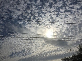 うろこ雲と太陽