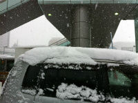 車上の雪